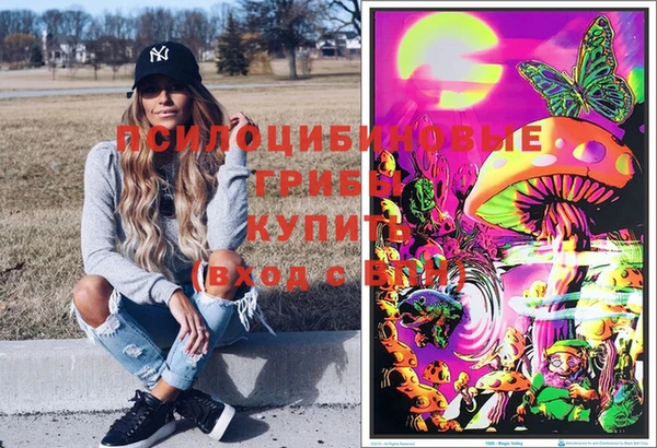 индика Алзамай