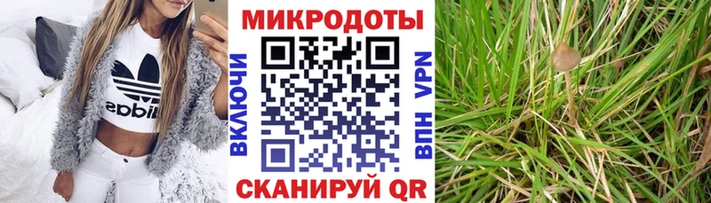 Купить  Старая Купавна  Галлюциногенные грибы прущие грибы 