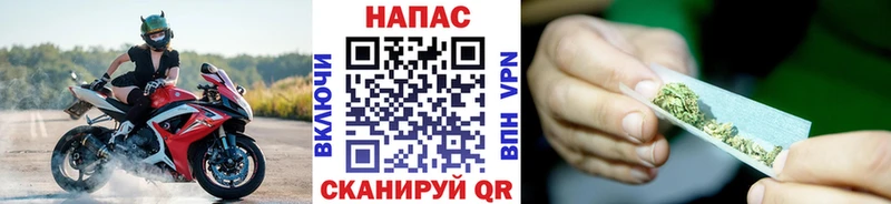 Купить где  Старая Купавна  МАРИХУАНА SATIVA & INDICA 